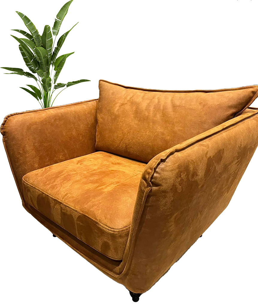 Palmier et fauteuil couleur marron clair