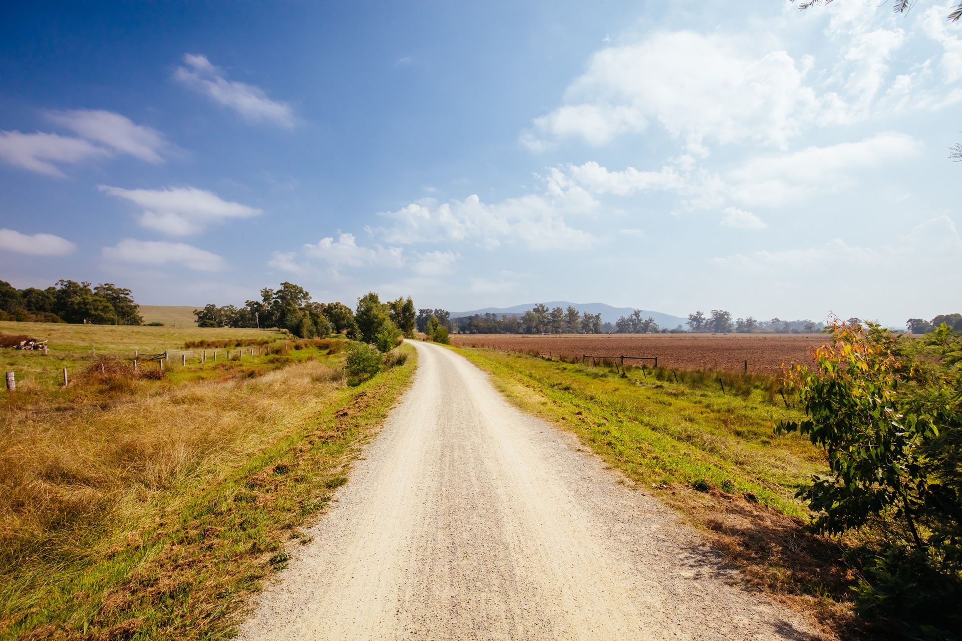 Un camino de tierra que atraviesa un campo de hierba en un día soleado.
