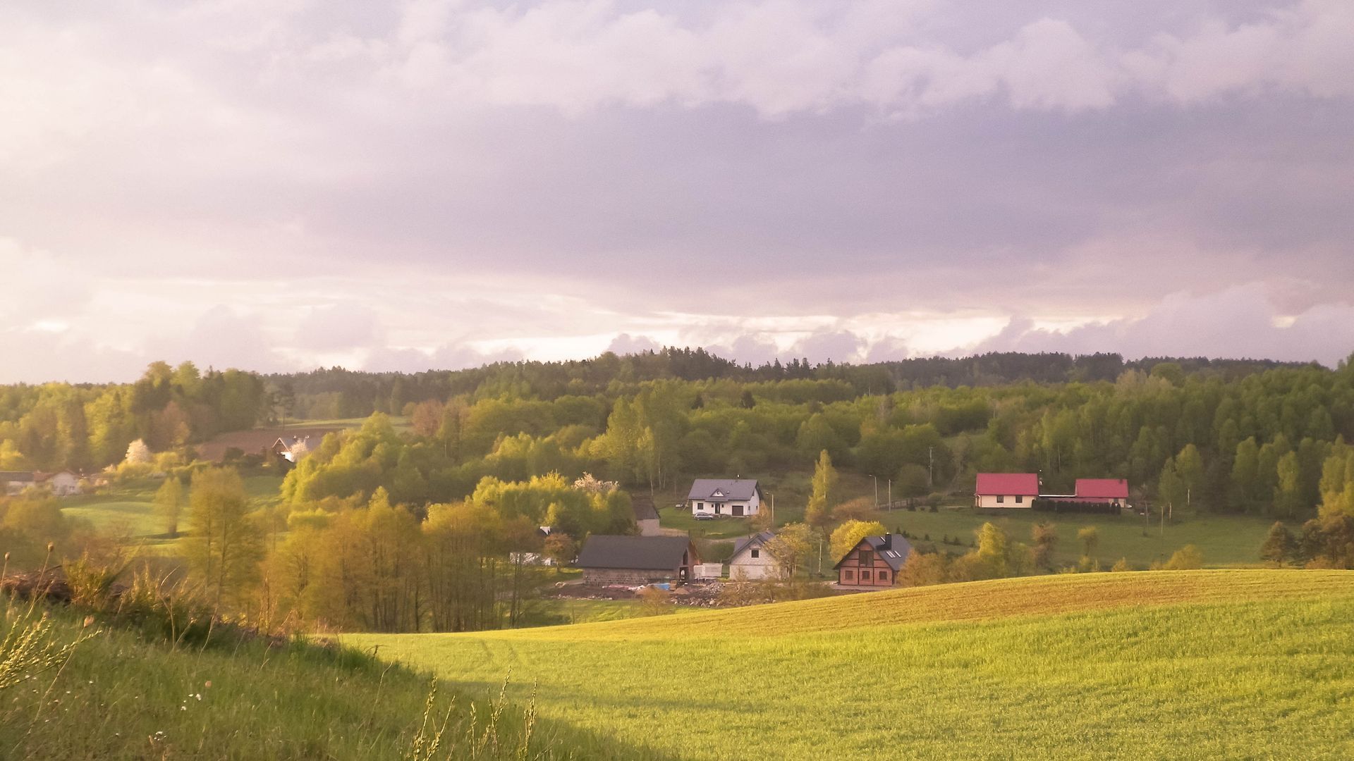 Un paisaje con casas y árboles al fondo.