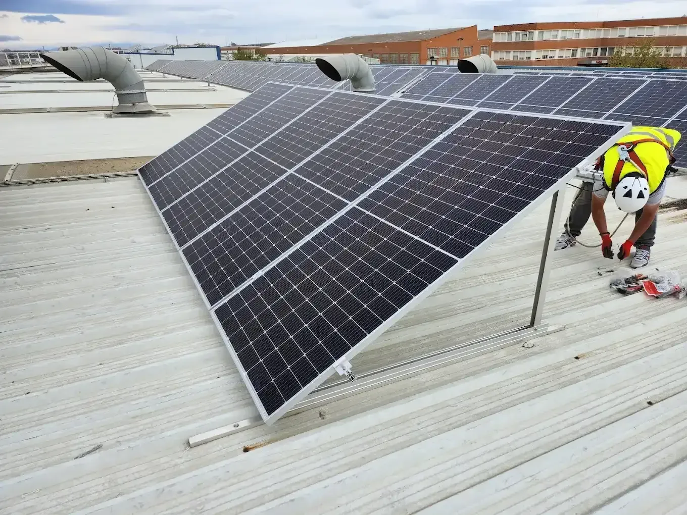 Paneles solares en un tejado, con un perro que lleva una chaqueta amarilla brillante a la derecha.