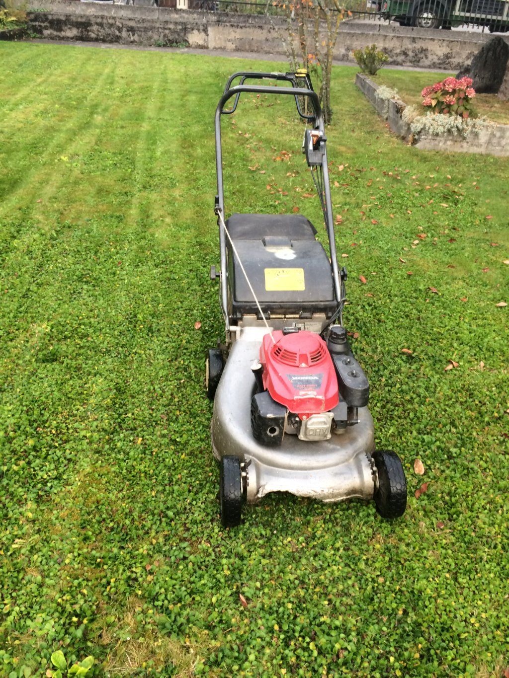 Sandra Delay Gartenpflege