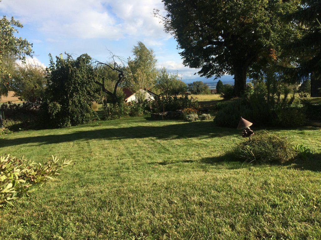 Sandra Delay Gartenpflege