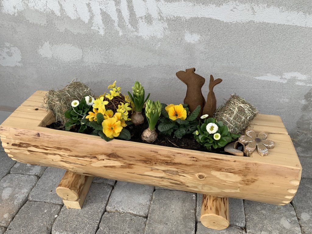 Sandra Delay Gartenpflege