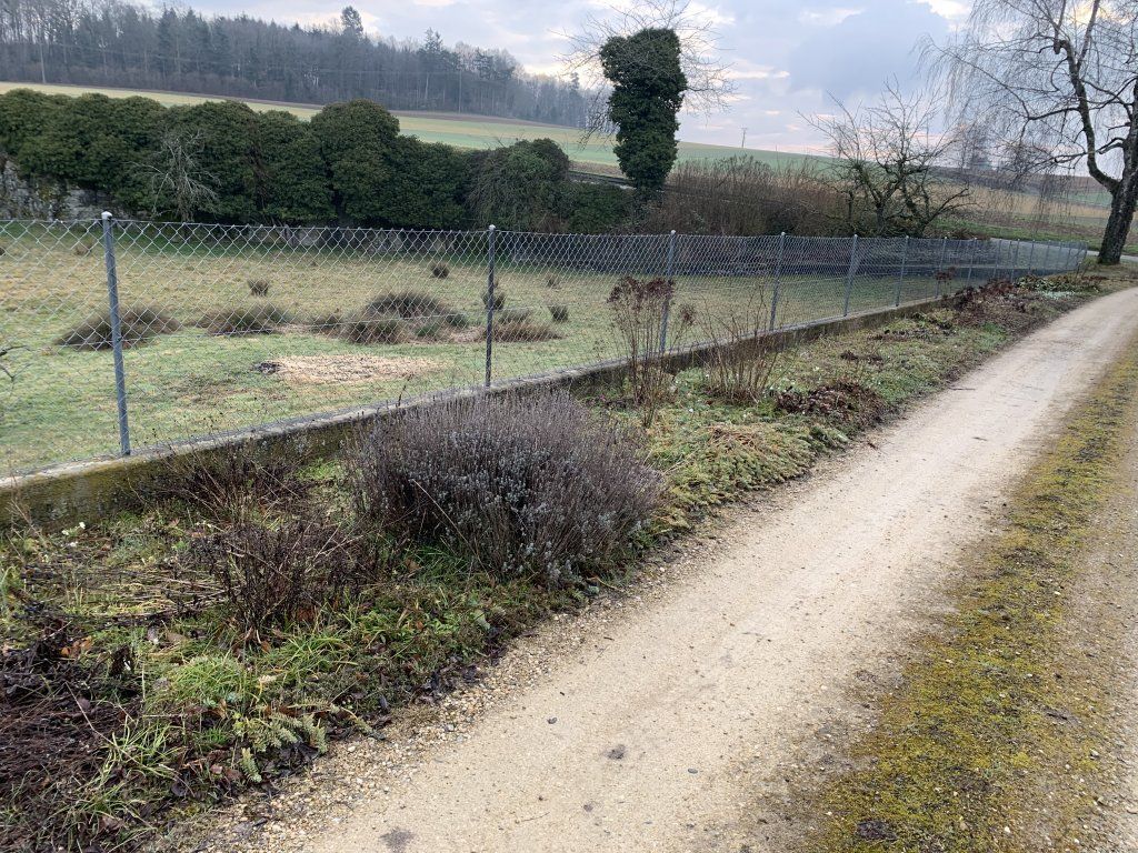 Sandra Delay Gartenpflege