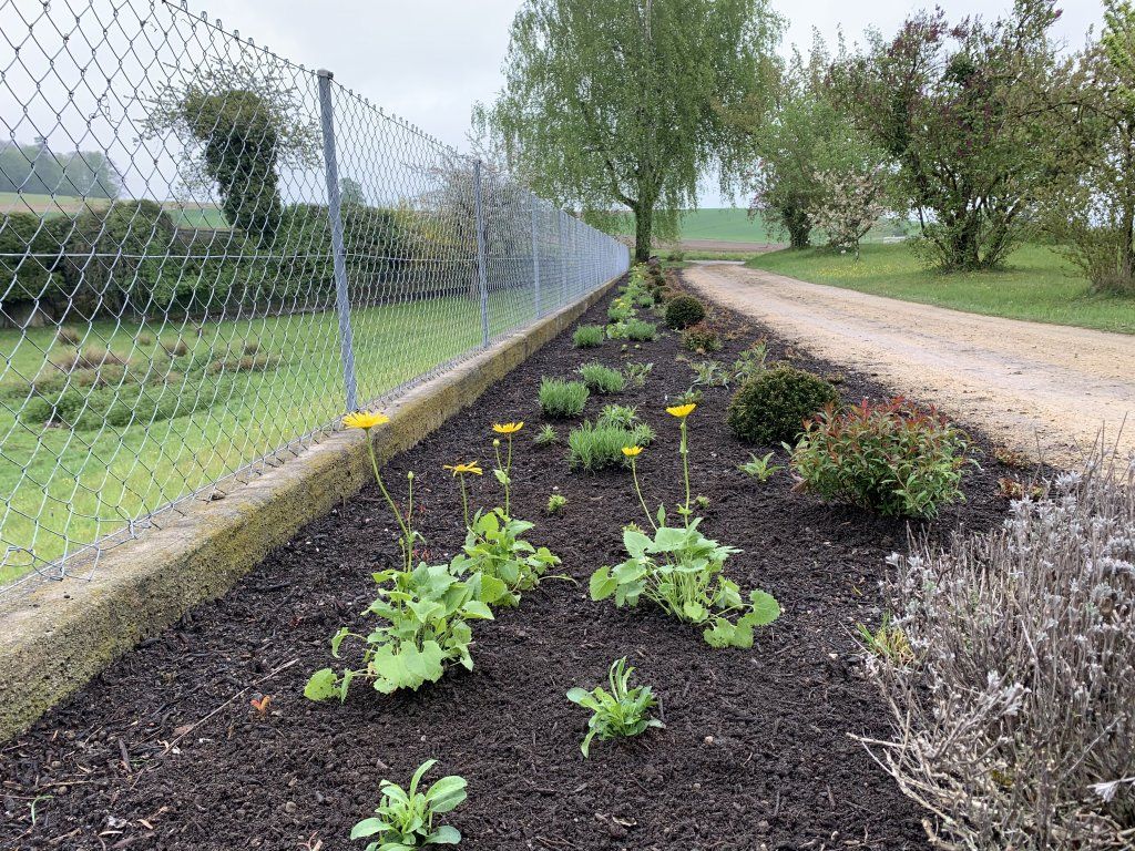 Sandra Delay Gartenpflege