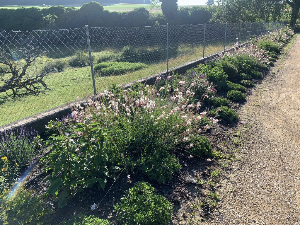 Sandra Delay Gartenpflege