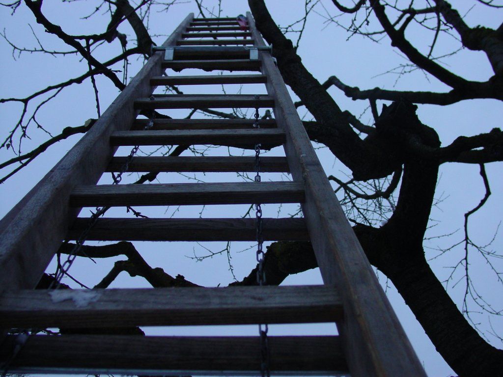 Sandra Delay Gartenpflege