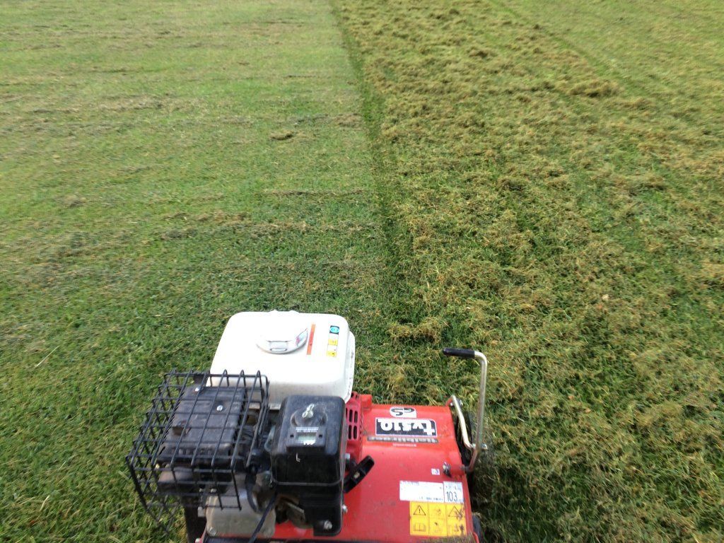 Sandra Delay Gartenpflege