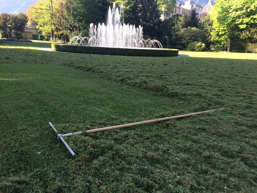 Sandra Delay Gartenpflege