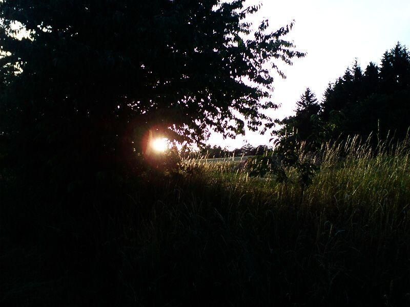Campingplatz am Waldbad 
in Harztor OT Neustadt / Harz