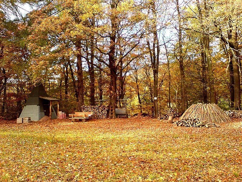 Campingplatz am Waldbad 
in Harztor OT Neustadt / Harz