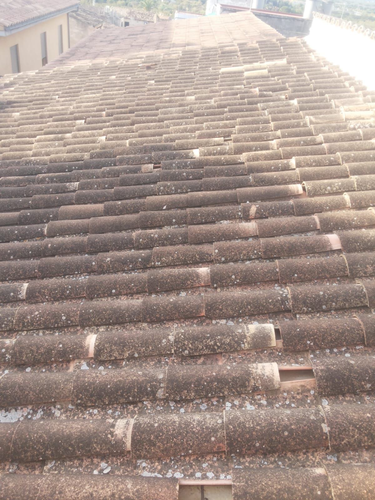 Un techo con muchas tejas.