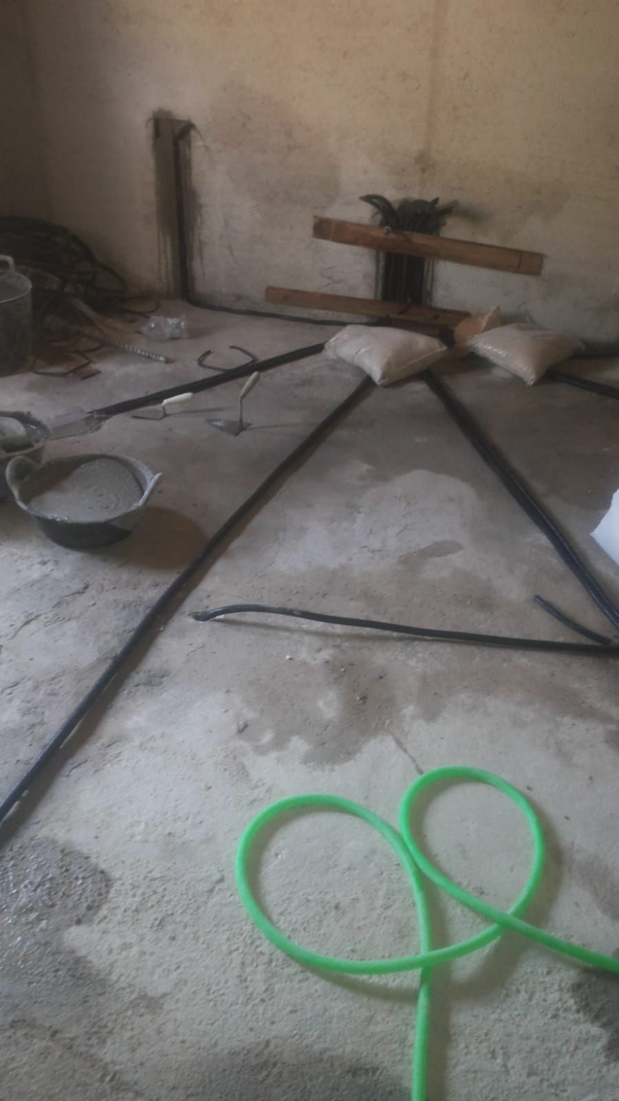 Una manguera verde está tendida en el suelo de una habitación.