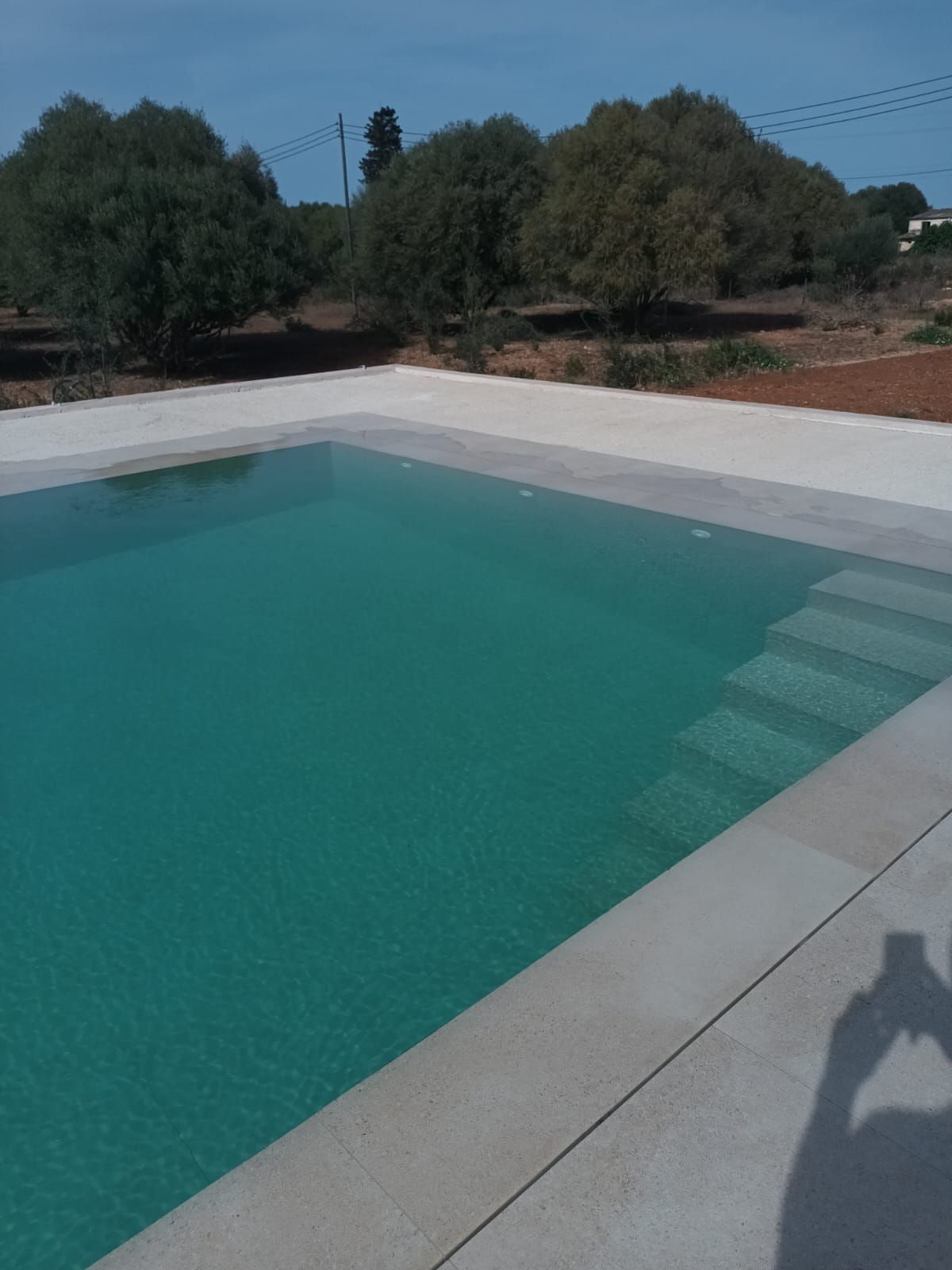 Una gran piscina rodeada de árboles en un día soleado.