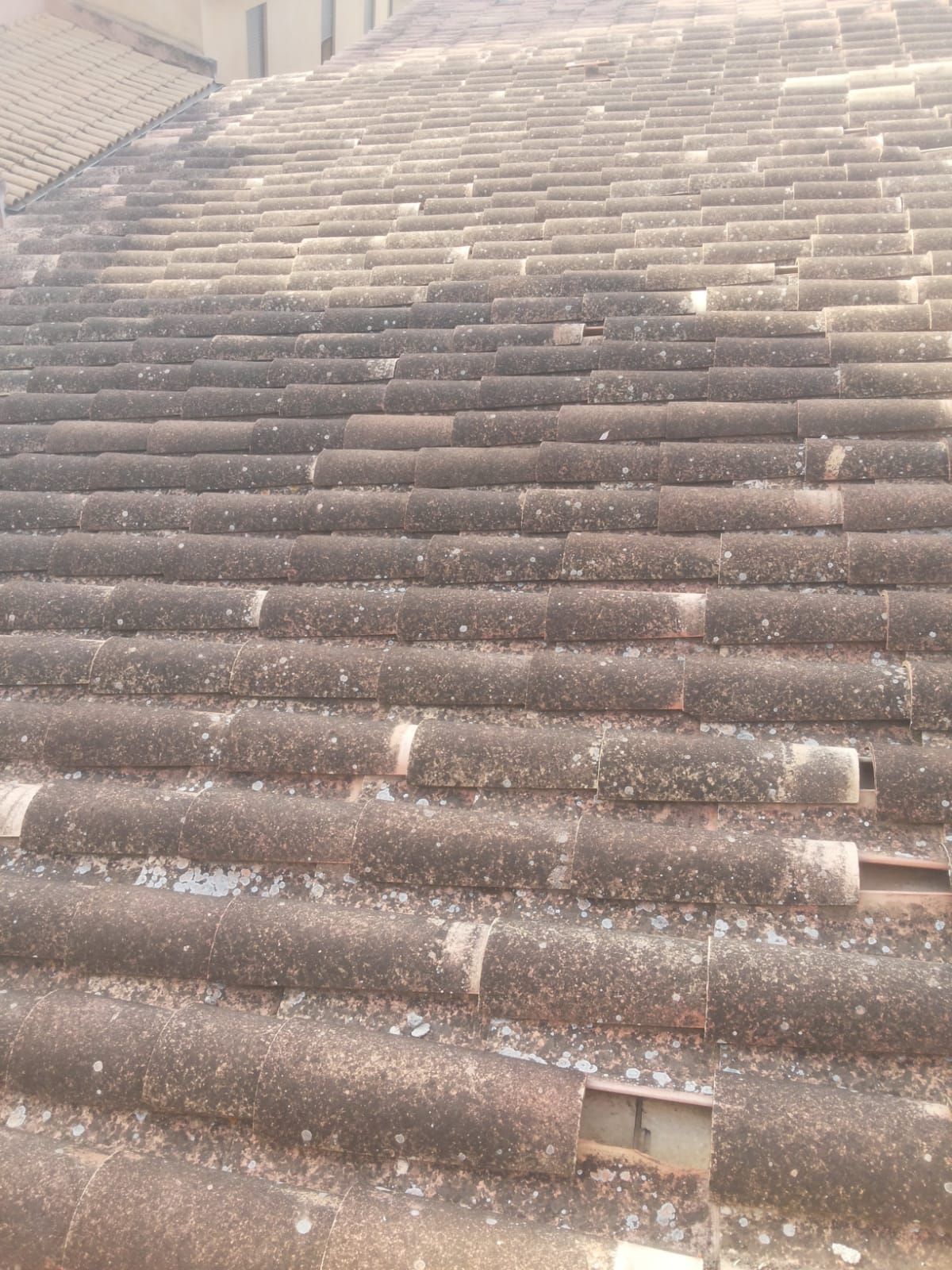 Un primer plano de un techo con muchas tejas.