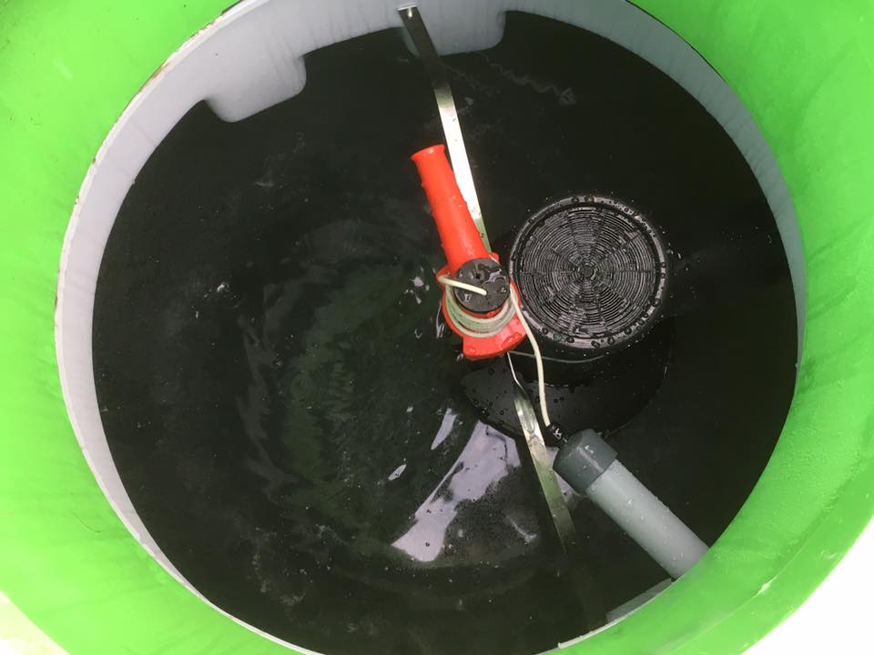 Vue de la cave d'assainissement