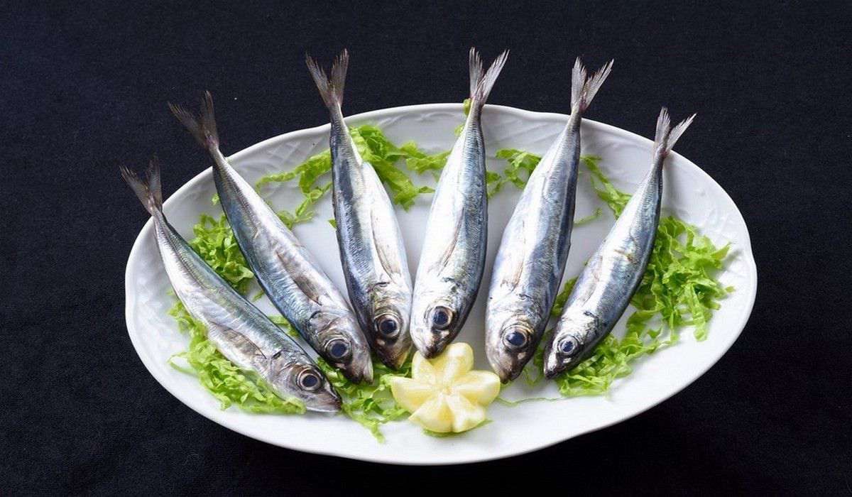 Un plato blanco cubierto con sardinas y lechuga.
