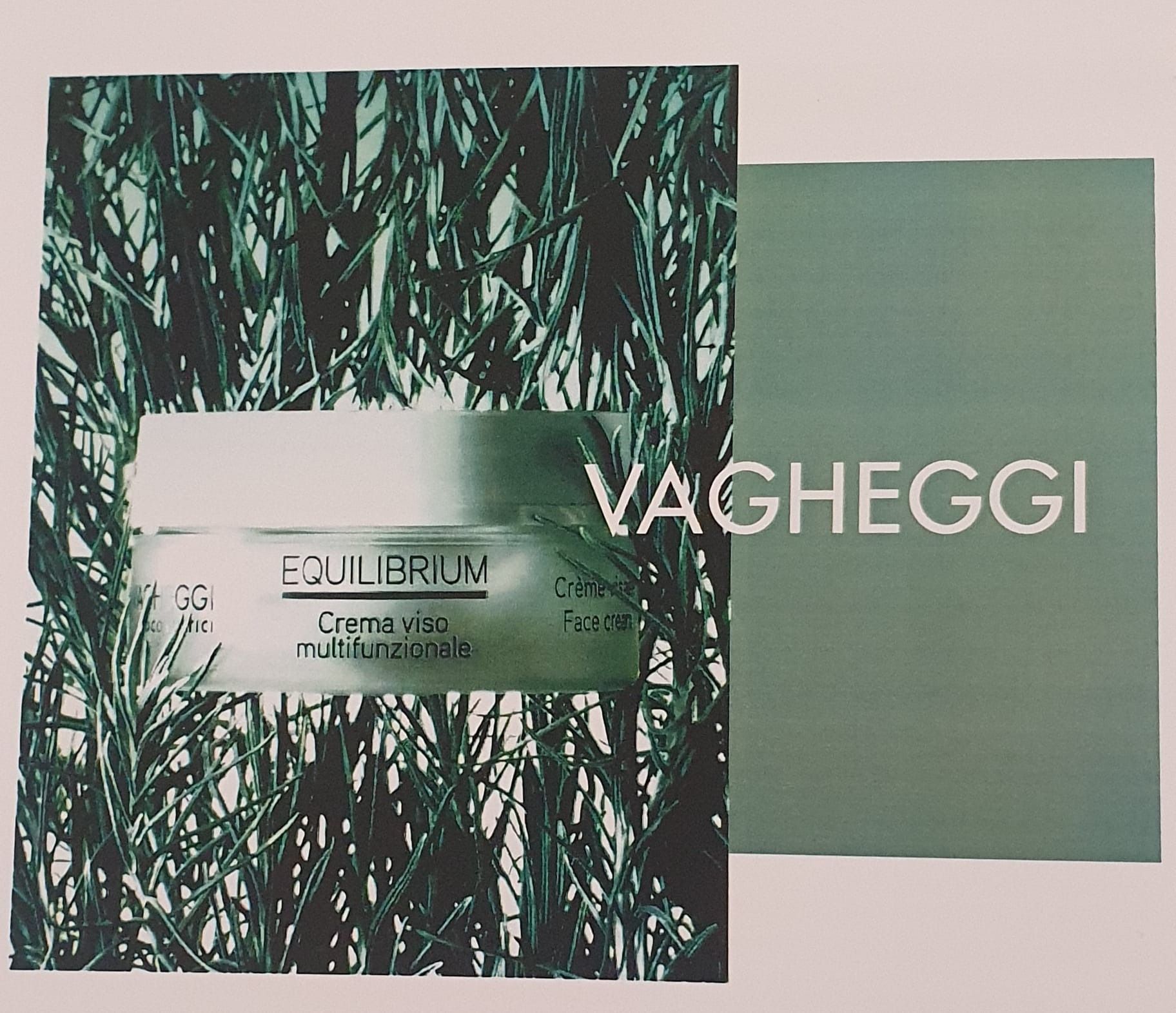Un anuncio de Vagheggi con una imagen de un árbol al fondo.