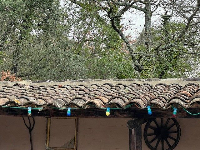 Toiture à rénover avec arbre et guirlande