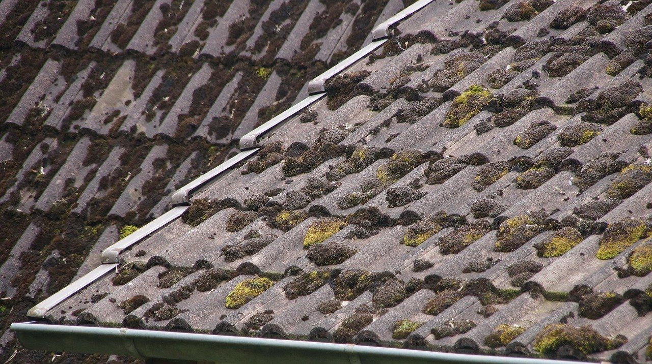 Toiture mousse à rénover
