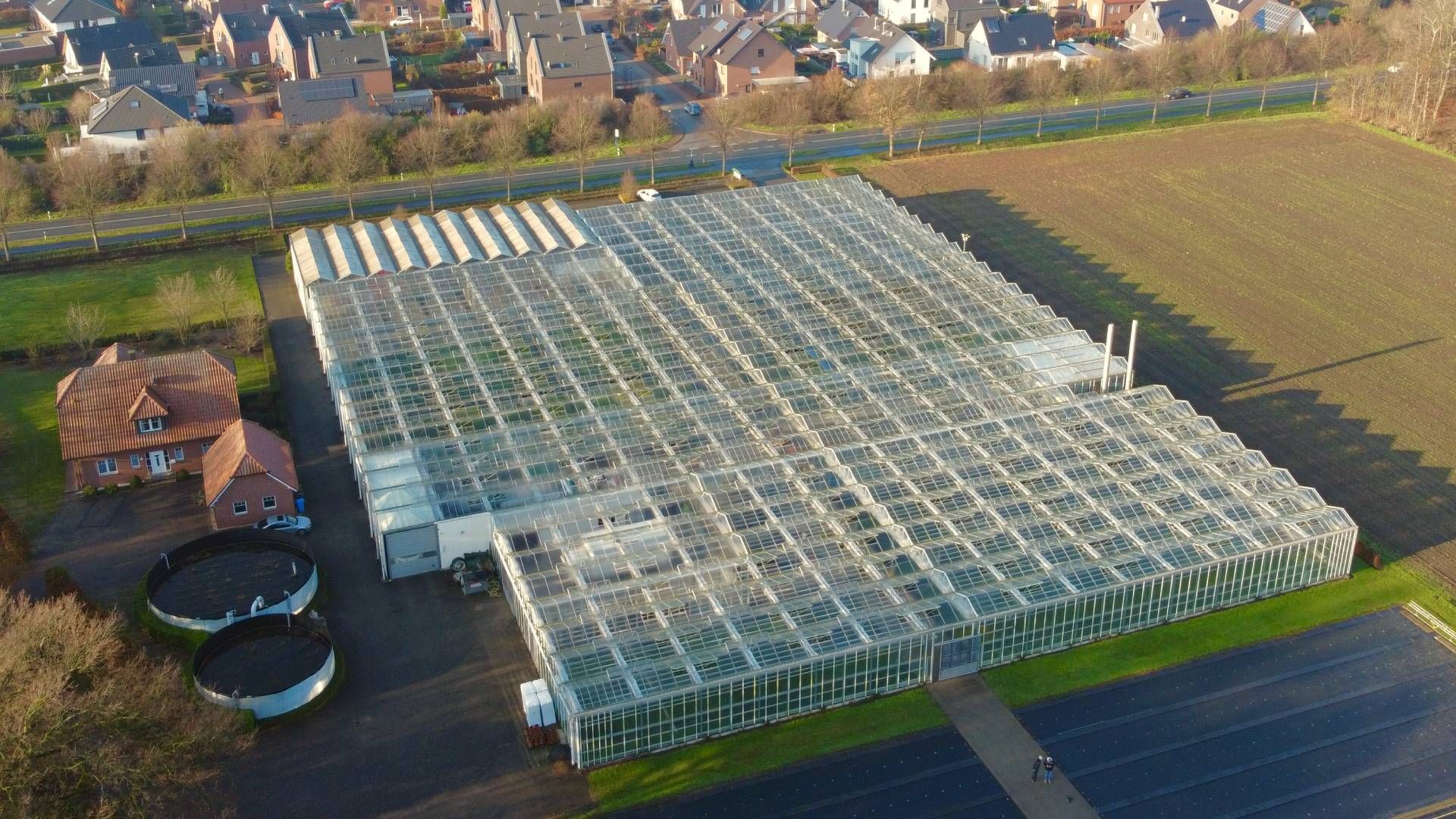 Gewächshaus Luftansicht