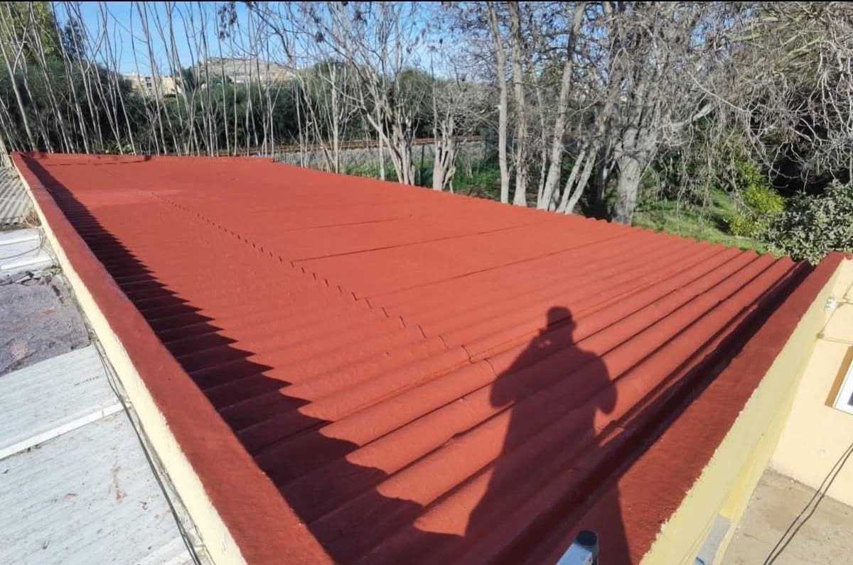Techo de metal rojo con la sombra de una persona, visto desde arriba cerca de árboles y cielo azul.