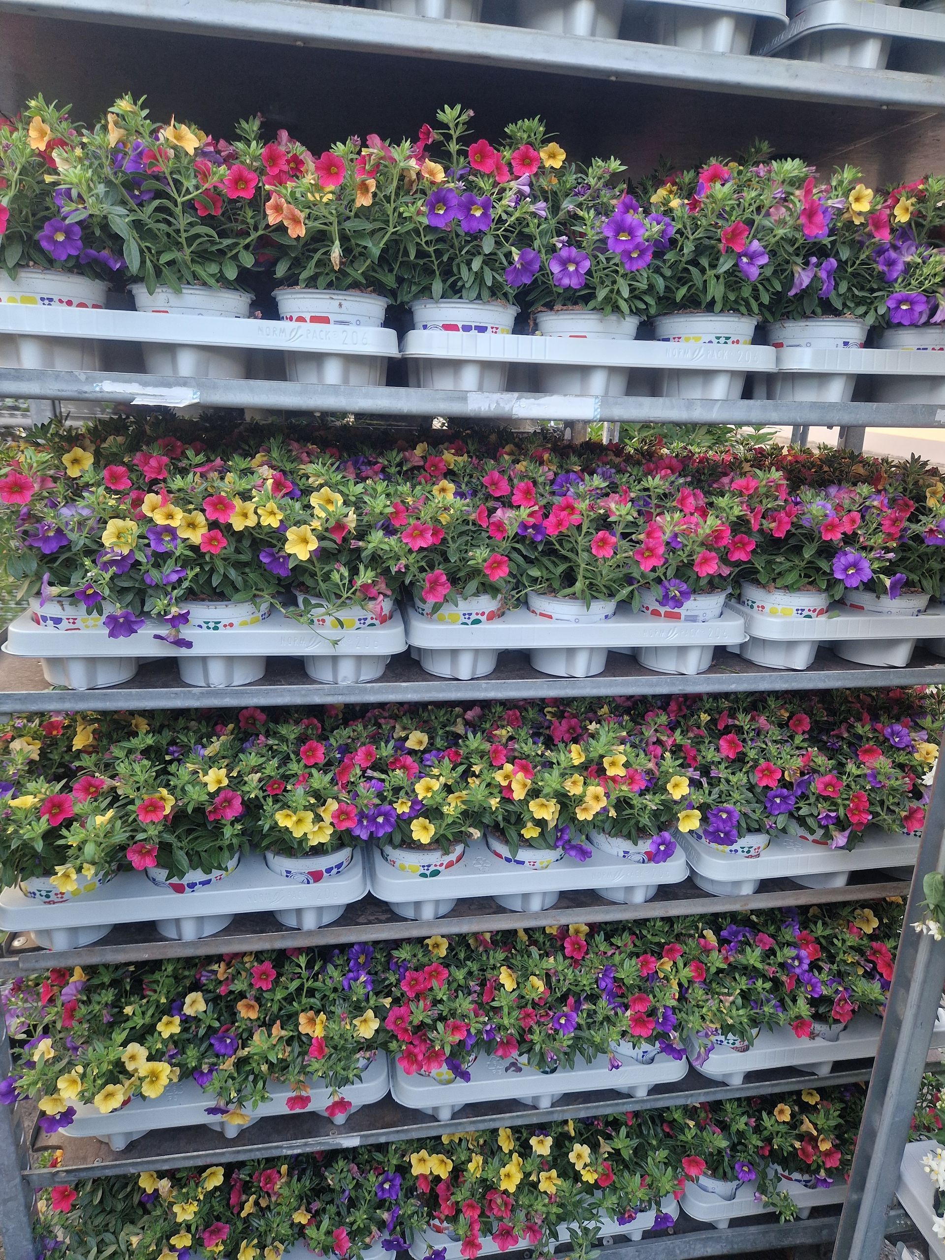 Ein Strauß Topfblumen steht auf einem Regal.