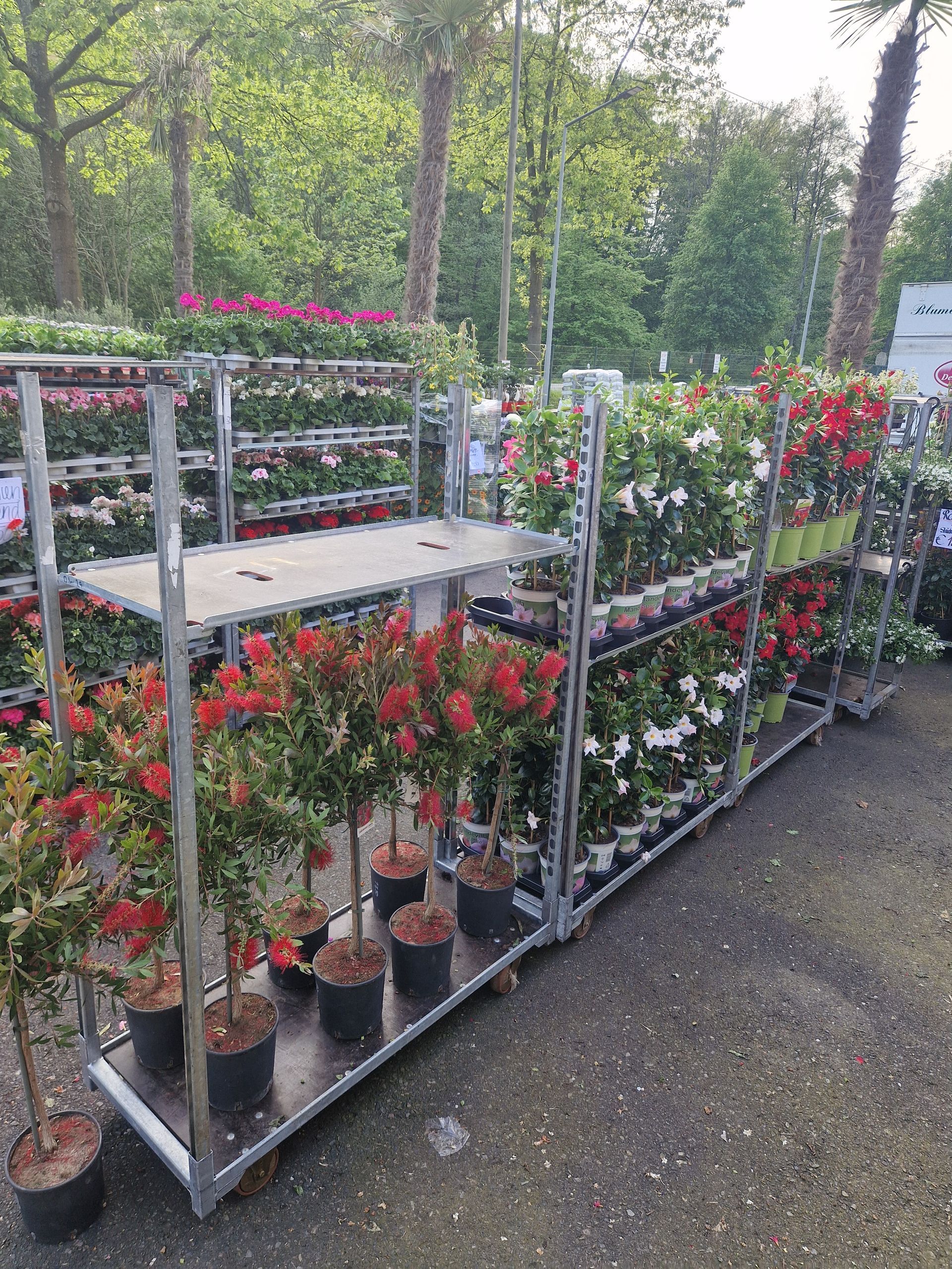 Ein Haufen Topfpflanzen steht auf einem Karren in einem Garten.