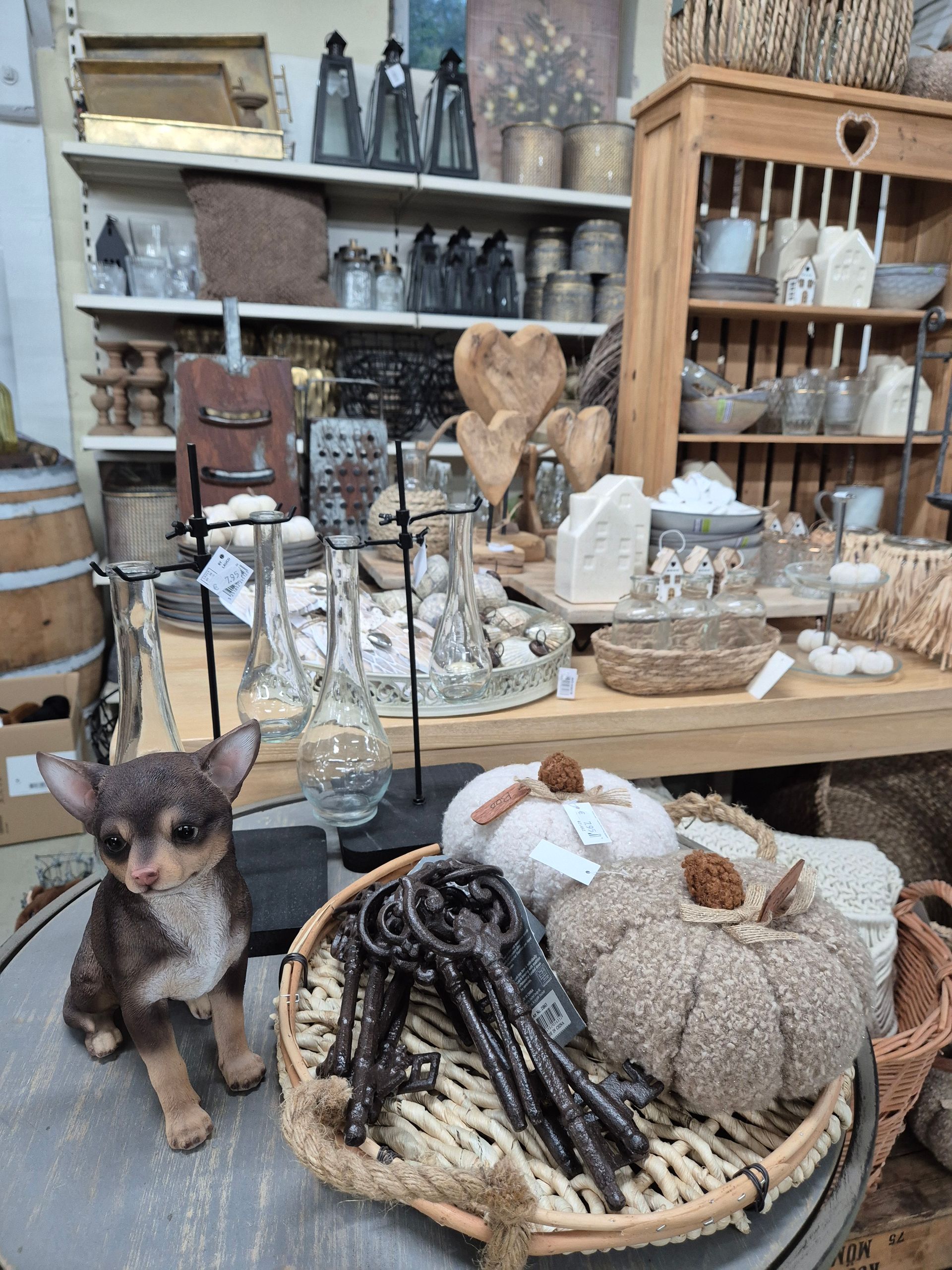 Eine Chihuahua-Statue sitzt auf einem Tisch neben einem Korb mit Kürbissen.