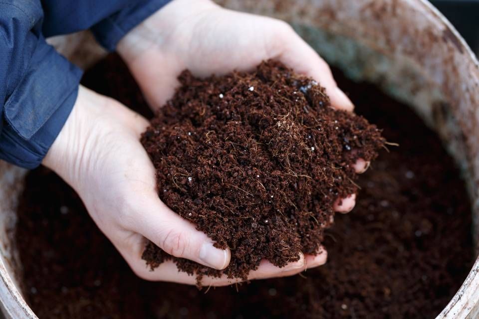 Blumenhof Eymold - zwei Hände halten frische Blumenerde über einem gefüllten Behälter
