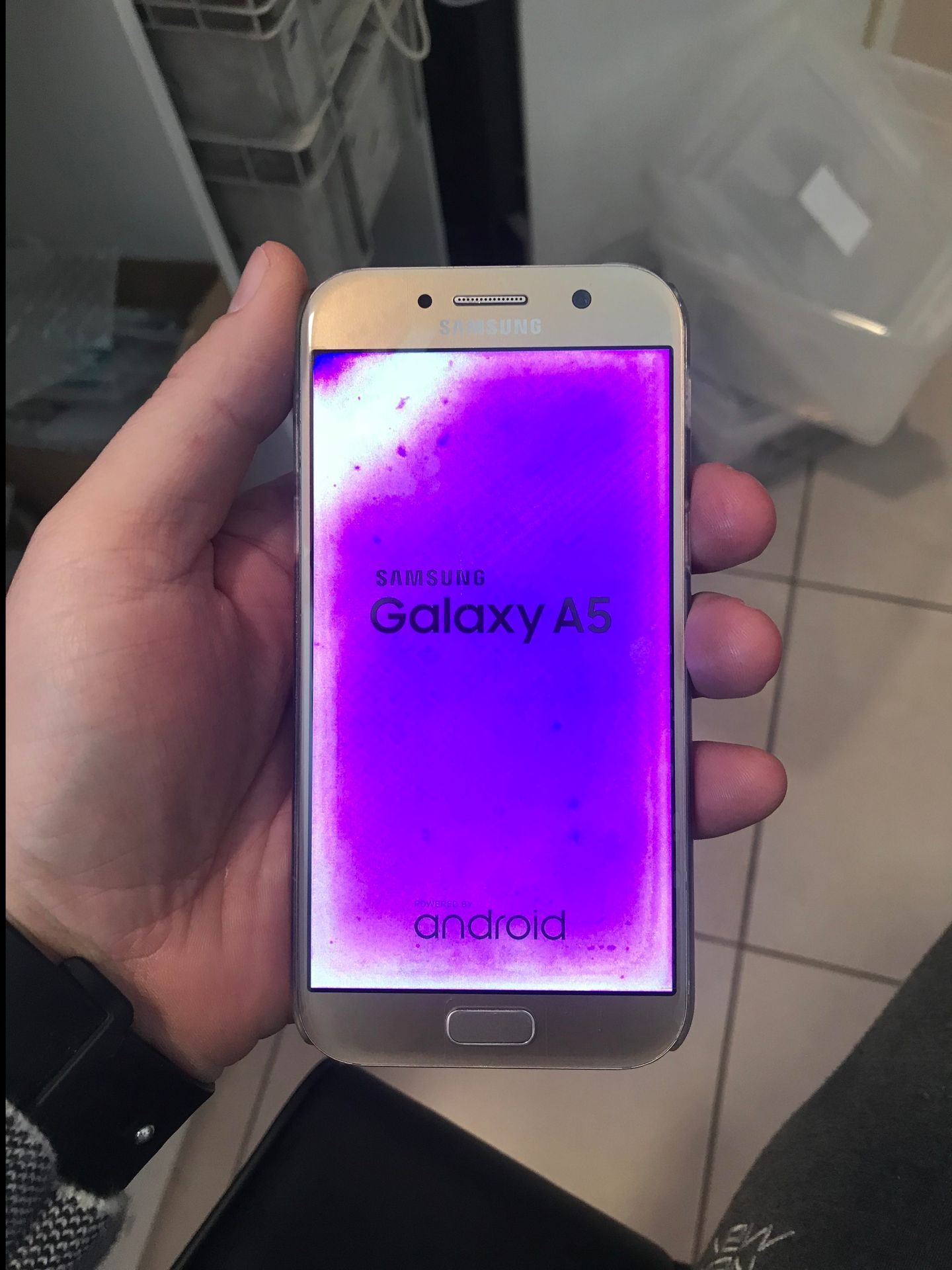 Main tenant un Samsung Galaxy A5 affichant un écran de démarrage violet en intérieur