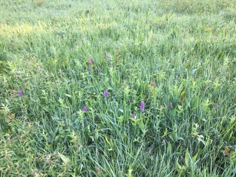 Agroservice M+H AG Landschaftsbau