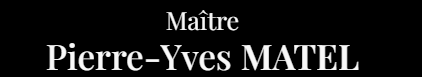 Logo Pierre-Yves Matel