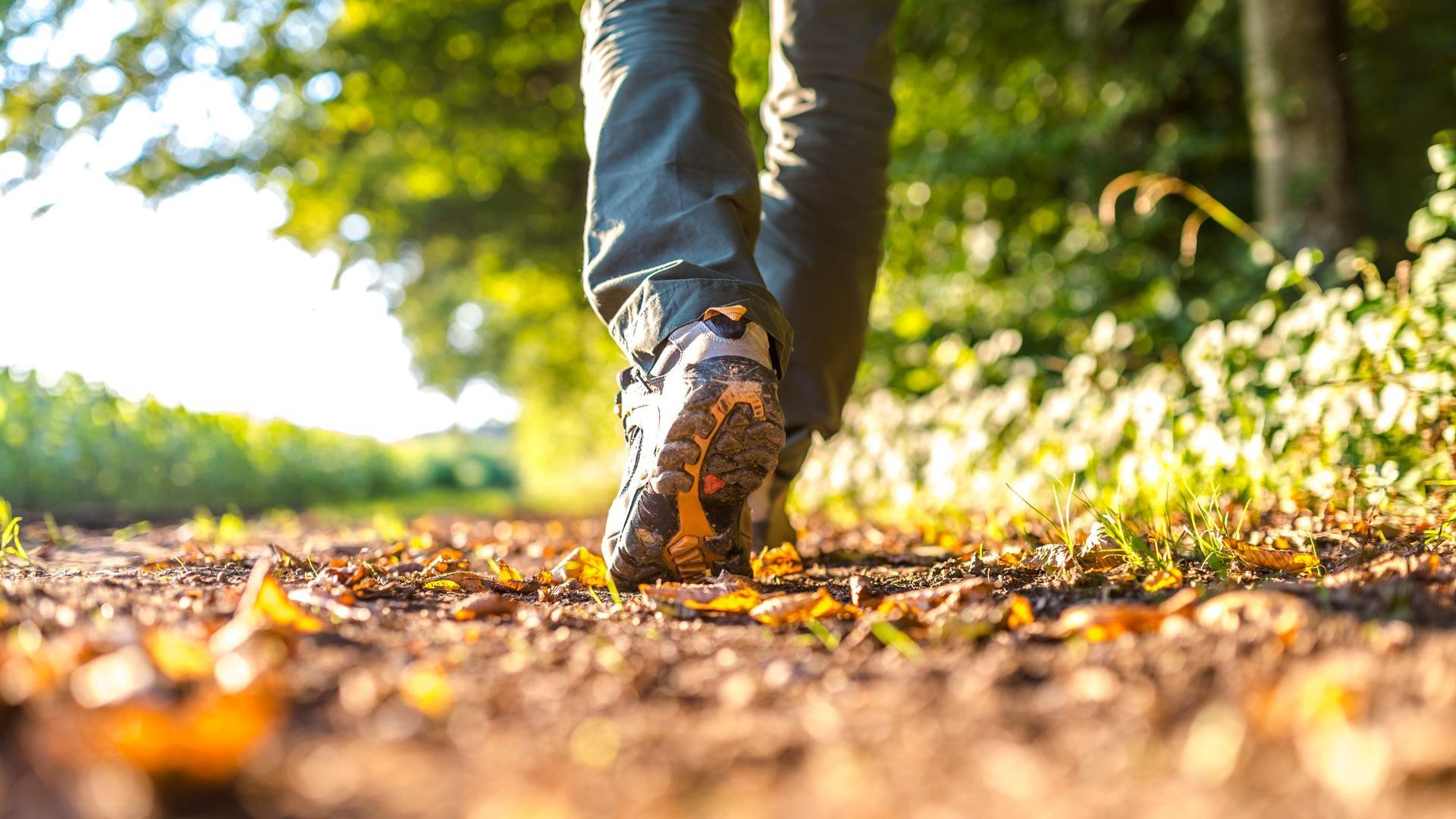 Une personne marchant sur un sentier de promenade