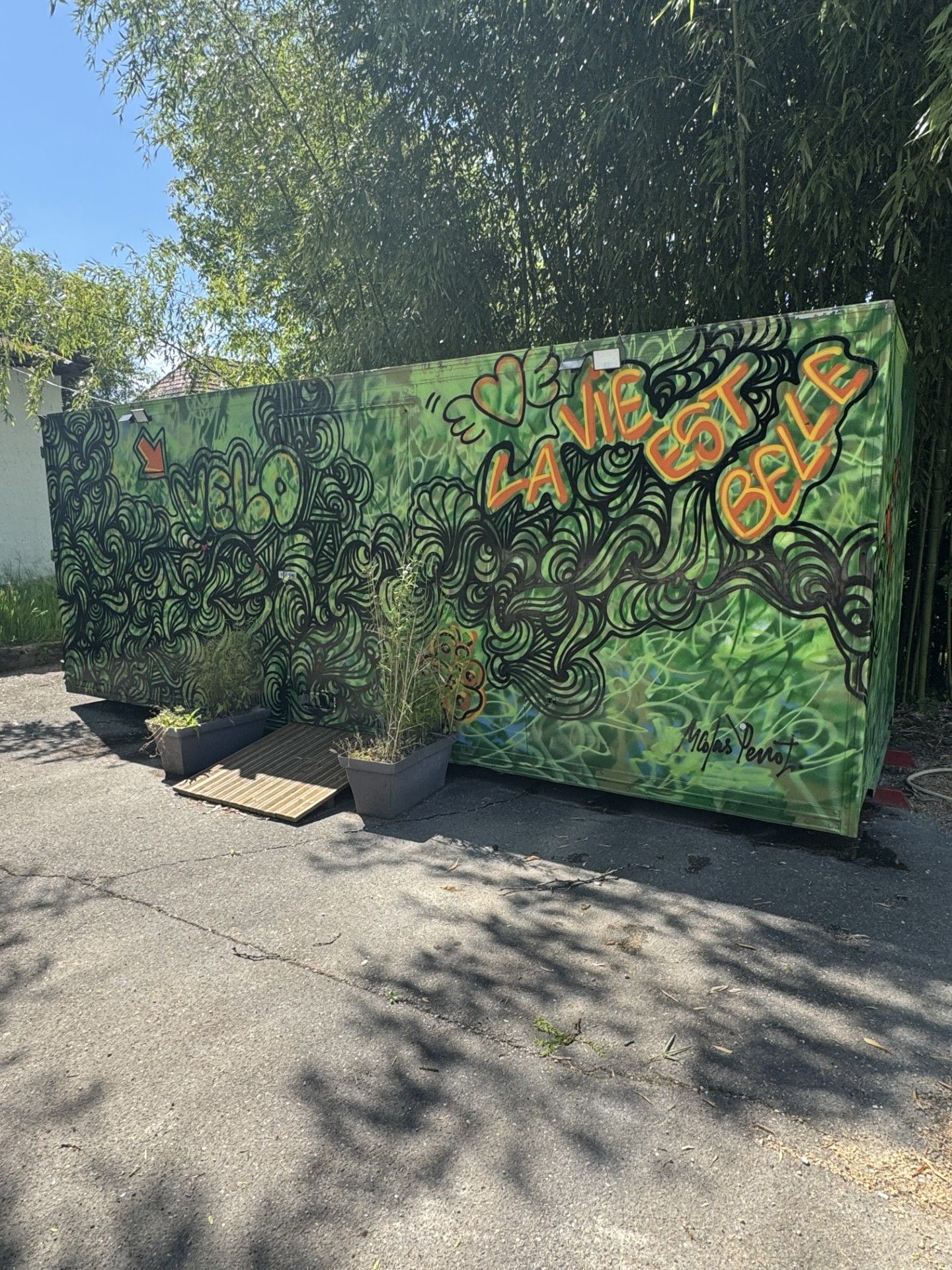 Local à vélo arboré