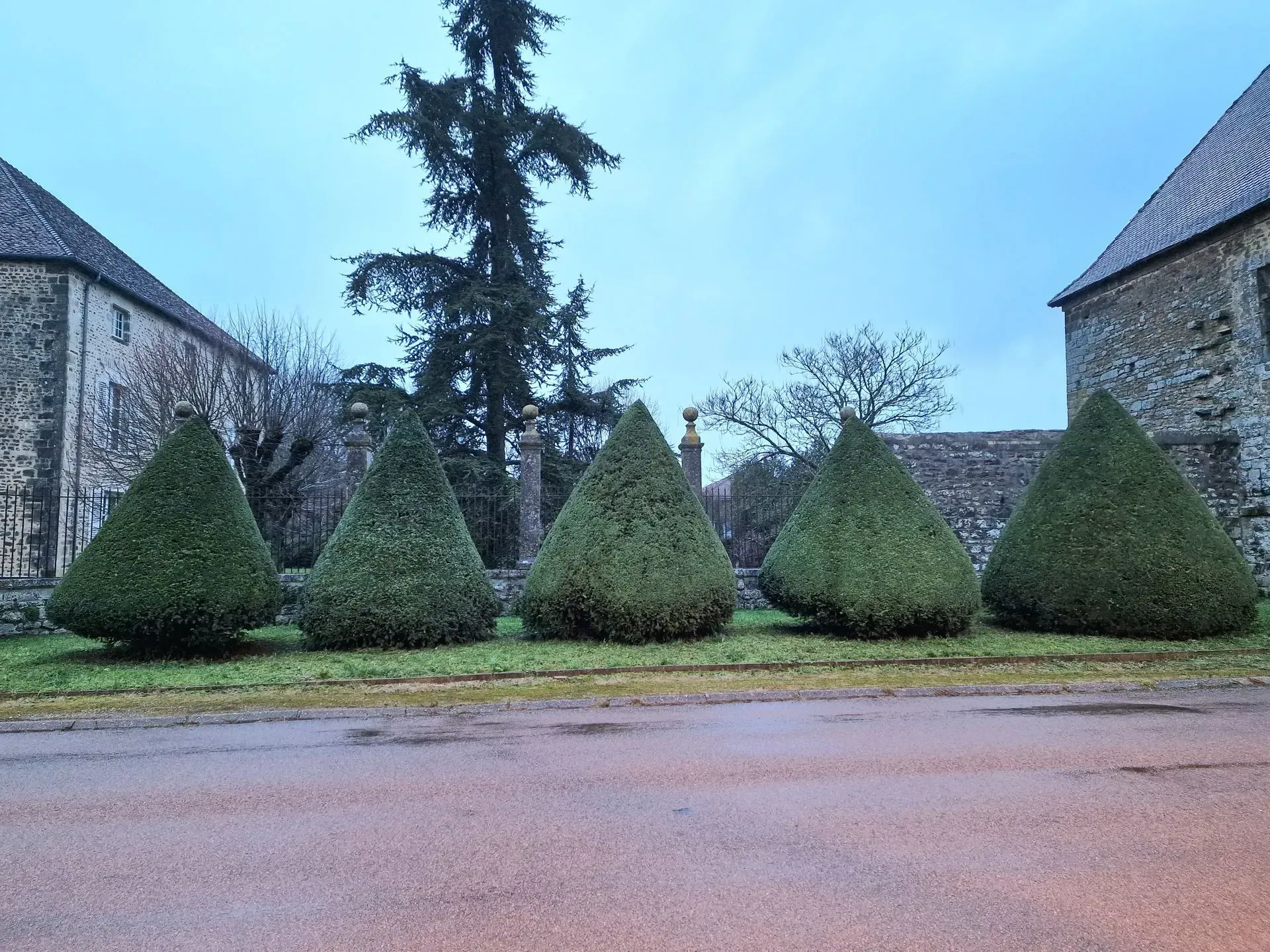 Cinq arbustes coniques et taillés avec soin se dressent en rang devant deux bâtiments en pierre, sous un ciel nuageux.