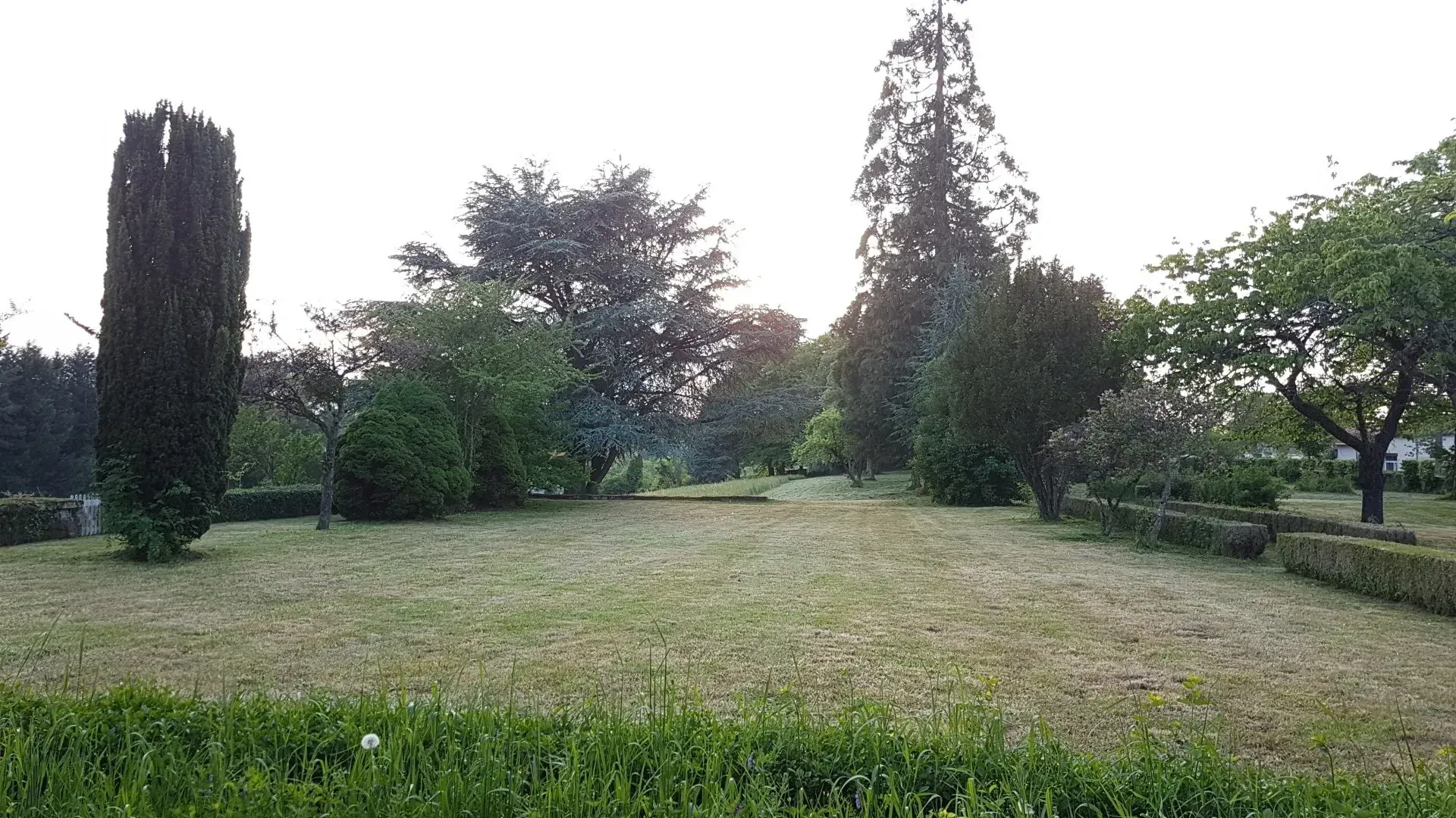 Un espace vert fraîchement fauché, entouré d'arbres et d'une haie taillée.