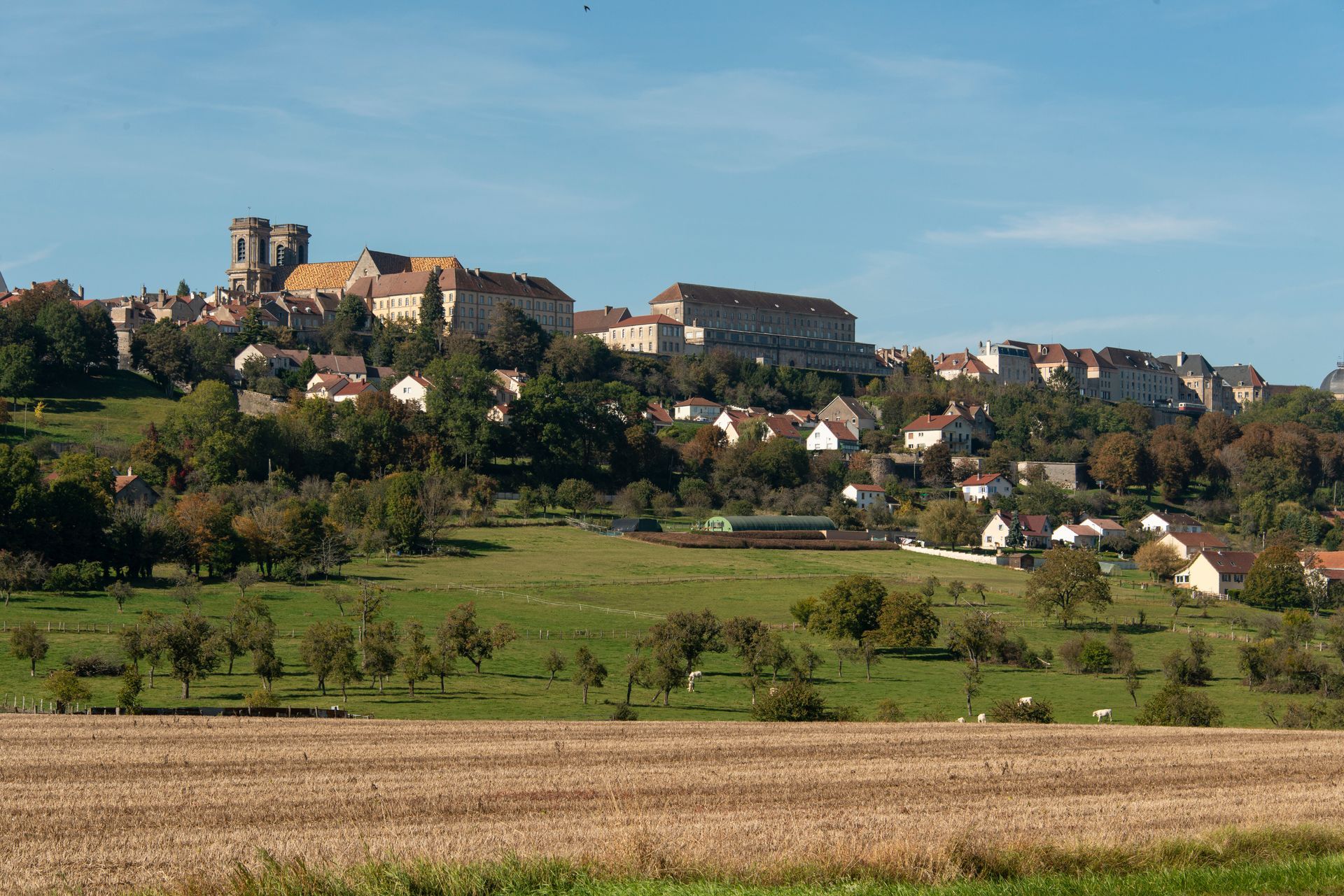 La ville de Langres perchée sur une colline, avec des bâtiments en pierre et une tour, surplombant une prairie verdoyante et un champ moissonné.