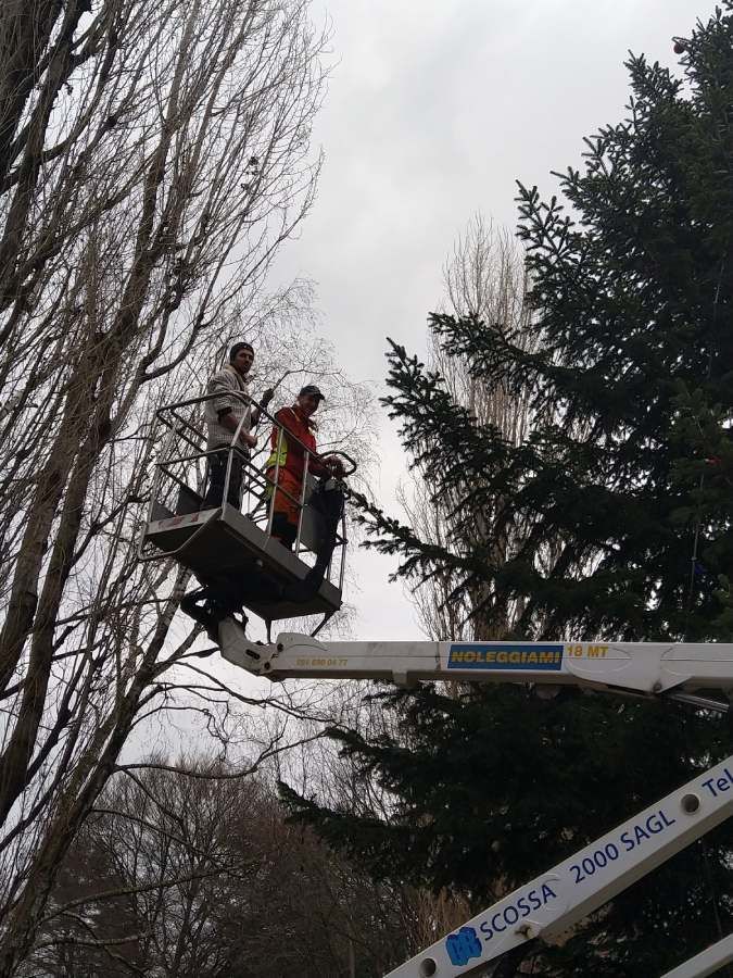 manutenzione del verde pubblico