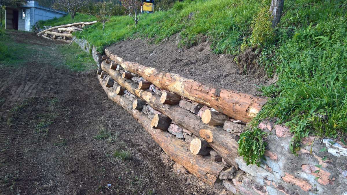 ingegneria naturalistica