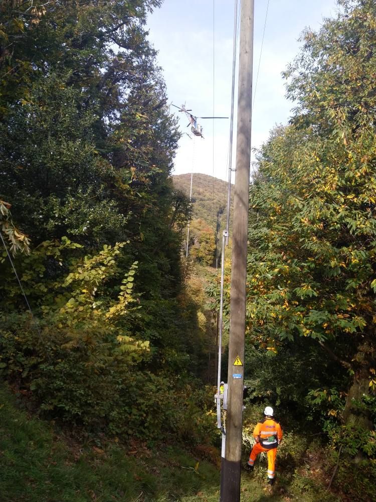 potatura di alberi - Galli Manuel Lavori Forestali