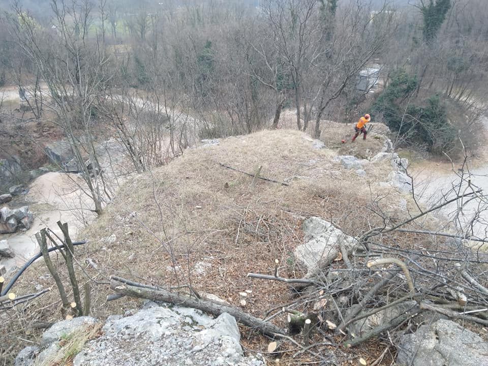 intervento di manutenzione boschi - Galli Manuel Lavori Forestali