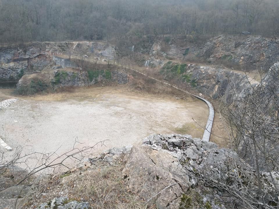 intervento forestale - Galli Manuel Lavori Forestali