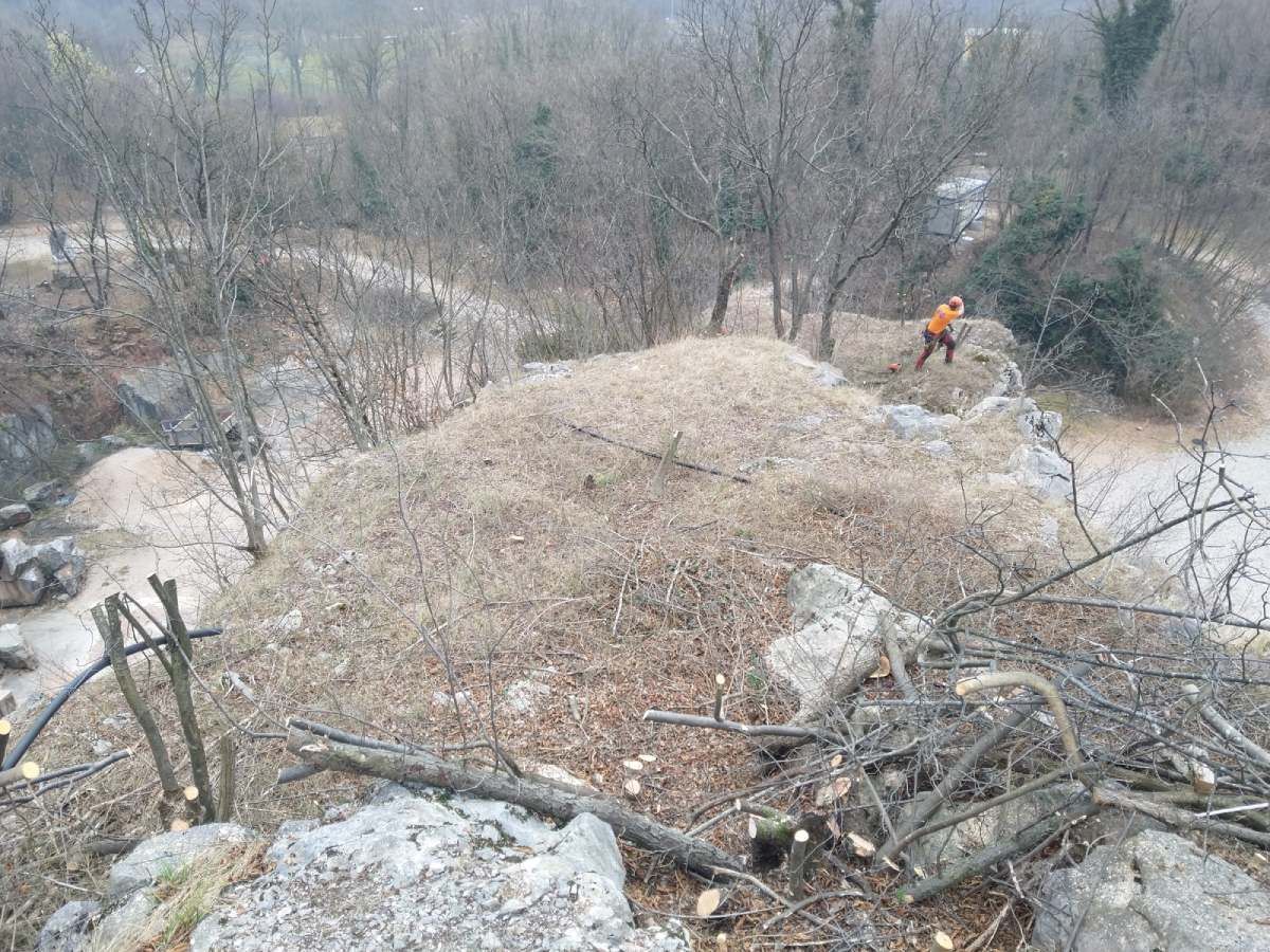 pulizia di un terreno pubblico