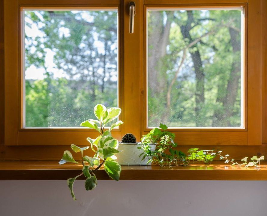 Gros plan sur un rebord de fenêtre en bois avec des plantes.