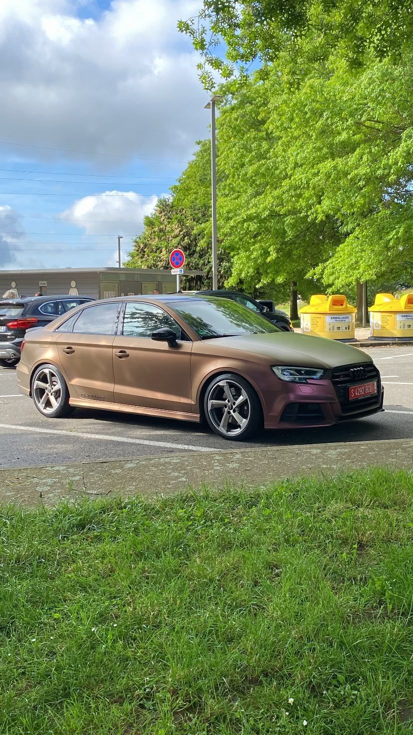 Un sedán Audi color bronce estacionado en un arcén cubierto de hierba bajo un cielo azul, con árboles y otros coches cerca.