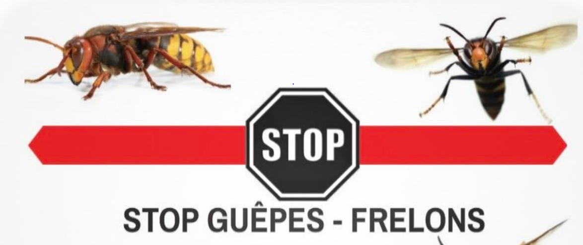 Logo Stop Guêpes Frelons