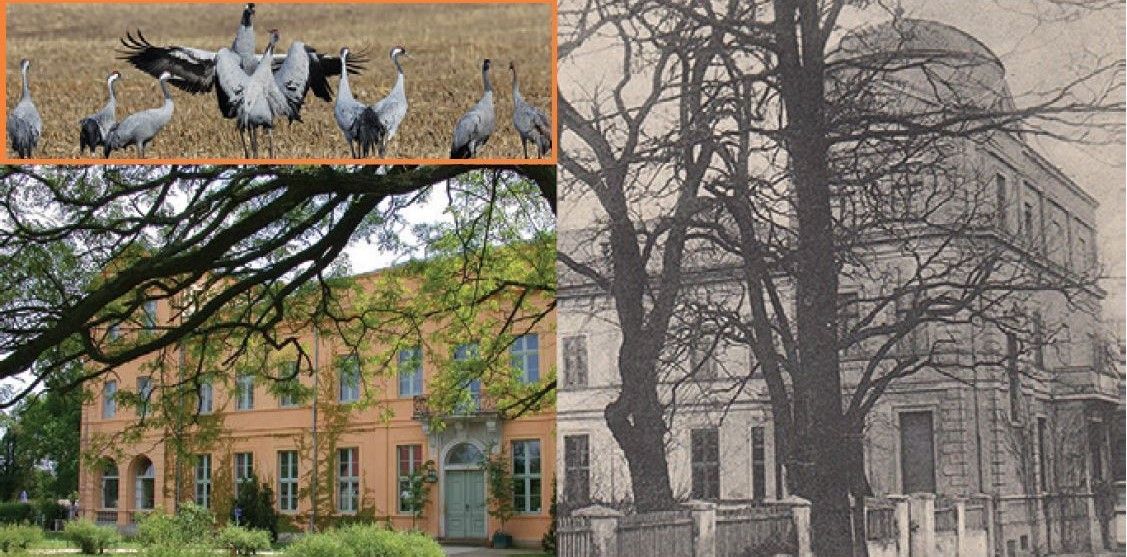 Kräne, alte Gebäude und Bäume in Sepiatönen stehen im Kontrast zu einem farbigen Gebäude und Kränen.