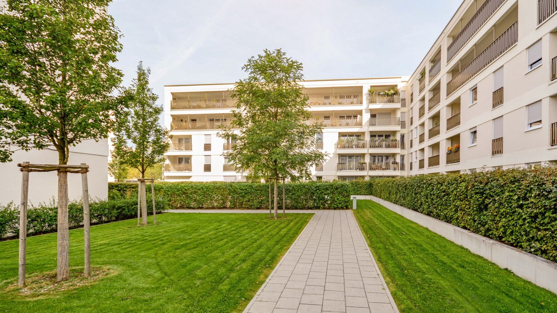 relva sintetica porto trofa maia ermesinde gaia braga famalicao matosinhos