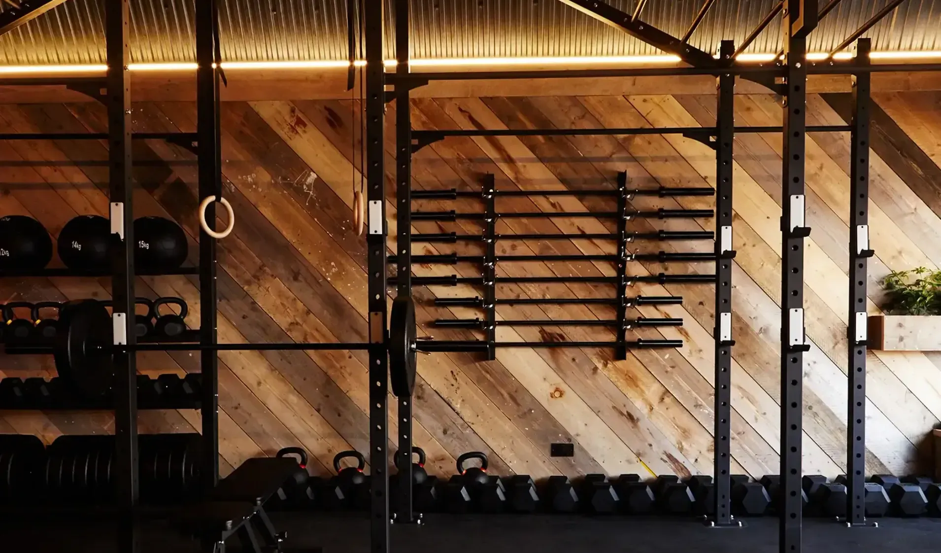 Terra Hale Gym Design: A gym with a wooden wall and a lot of dumbbells.